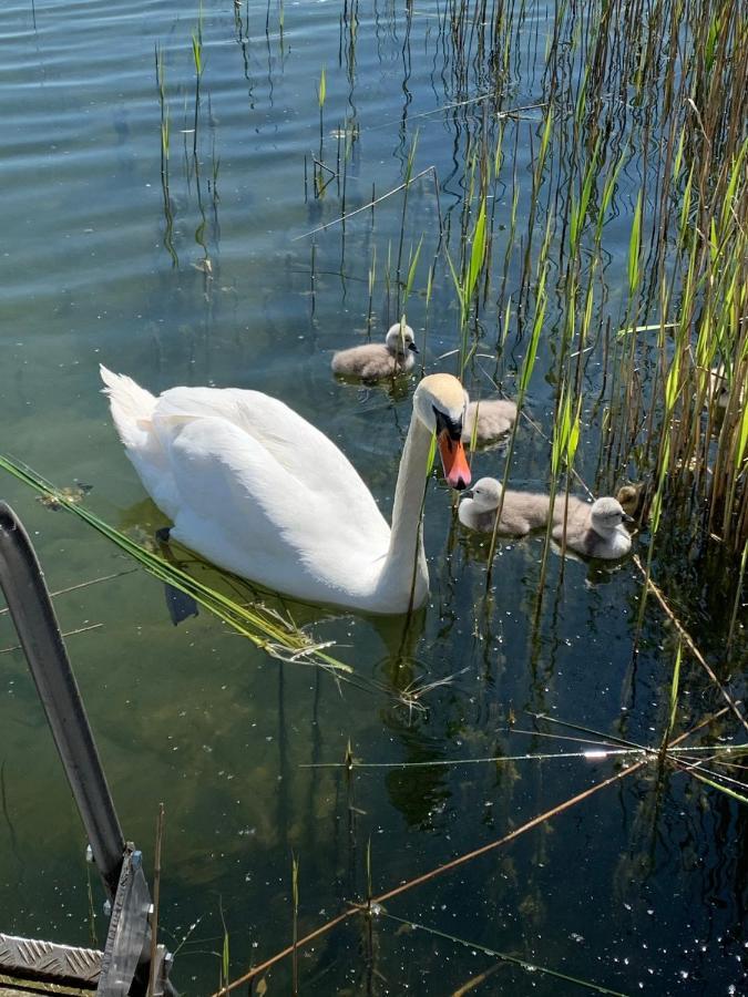 Sweet App Am See Ponitz am See Εξωτερικό φωτογραφία